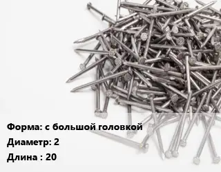 Гвоздь с большой головкой 2х20 оцинкованный